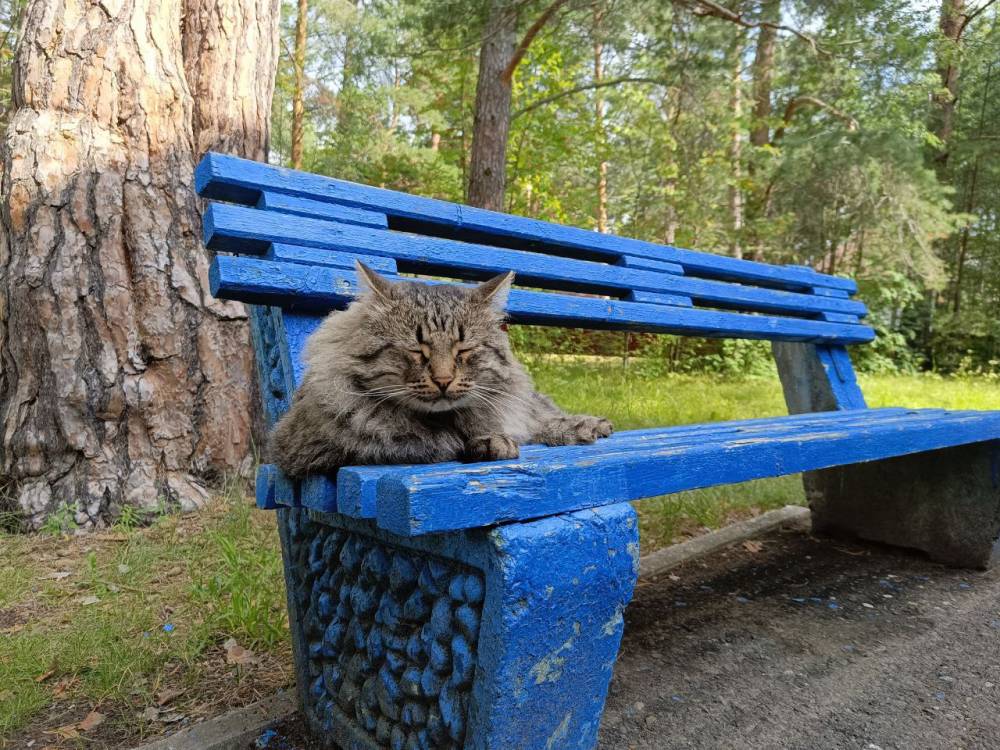 В выходные в Пермском крае ожидаются кратковременные дожди с грозами 