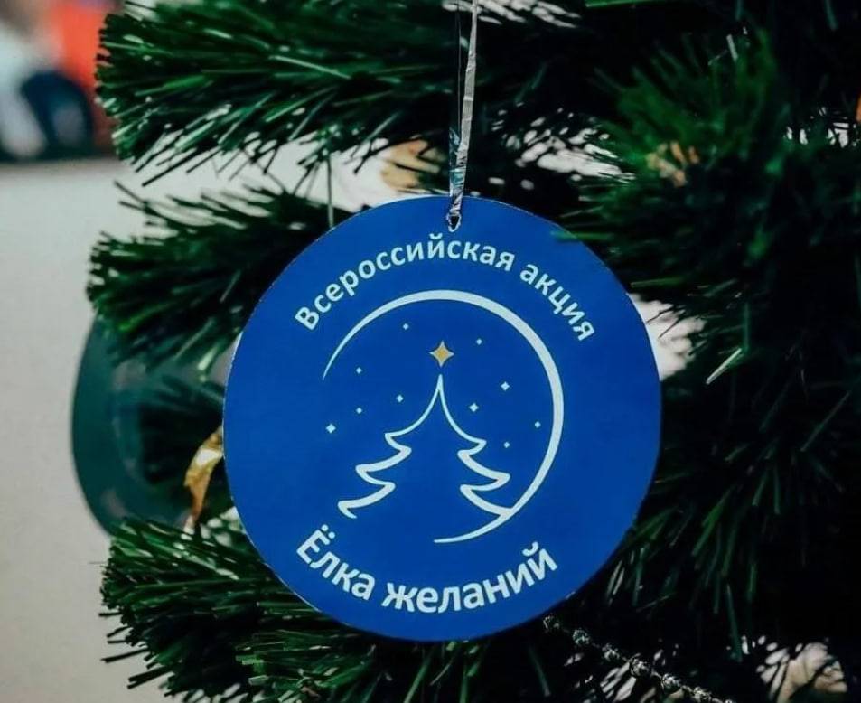 «Единая Россия» Прикамья исполняет детские новогодние мечты