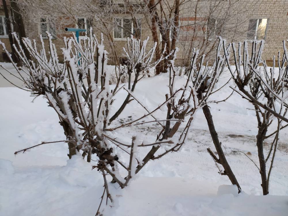 ​Жителей Пермского края предупреждают о похолодании до -40 градусов