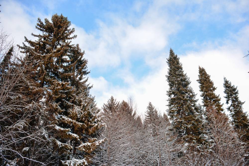 ​Облачно и немного снежно: синоптики о погоде в Пермском крае на выходные