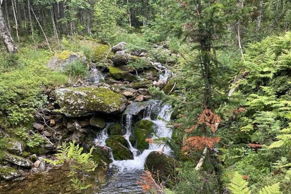 В Прикамье стартовал проект по созданию экопарка «Легенды Вишеры»