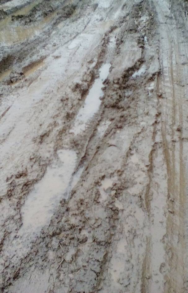 Единороссы Оханского городского округа подключились к восстановлению дороги в деревне Пономари