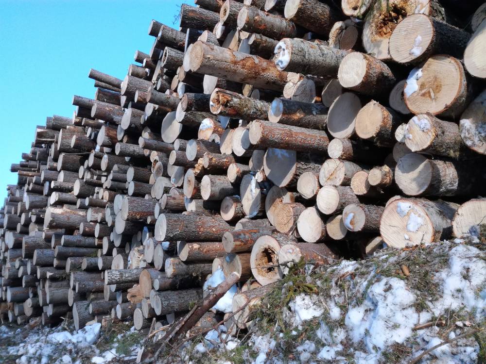 Объем экспорта леса из Пермского края в Китай вырос до 50 тыс. кубометров