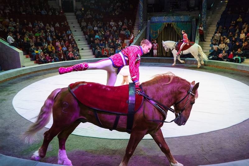 На премьере шоу Гии Эрадзе «Песчаная сказка» в Пермском цирке был аншлаг (0+)