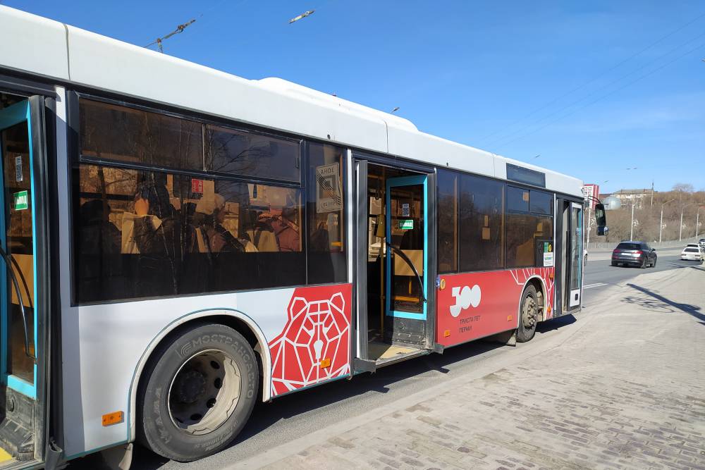 В Перми за год увеличилось количество прибыльных автобусных маршрутов