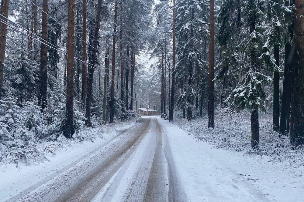 Три человека погибли во время спуска с горы в Бурятии 