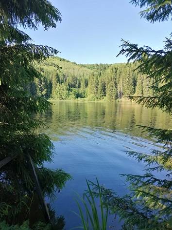 ​Что нам стоит дом построить?