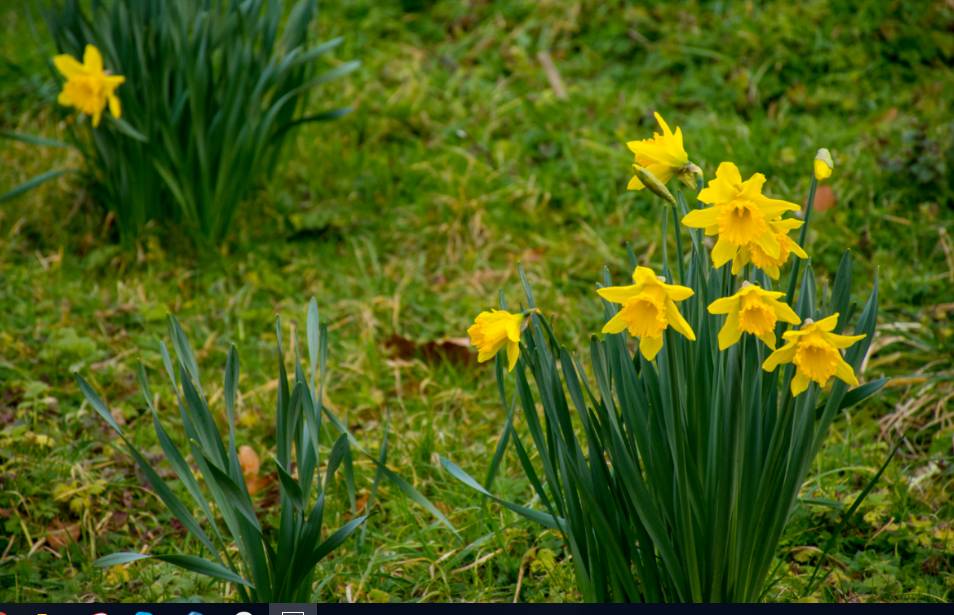Валлийский муравьед. Редактор Business Class рассказывает о поездке в Уэльс