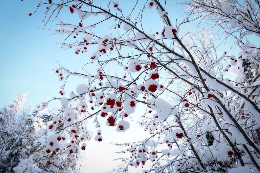 Соцсети: жители разных районов Прикамья поделились фотографиями «наступившей зимы» 