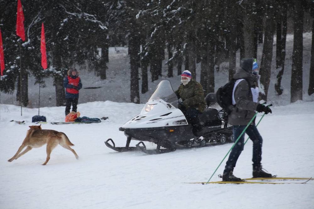 В Пермском крае во время поездки на снегоходе под лед ушли шесть человек