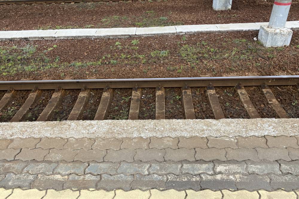 Остановись и примостись: какие участки затронет строительство Северного обхода Перми