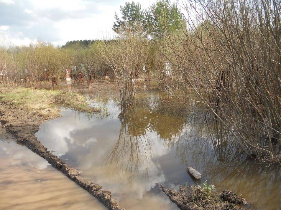 Северное кладбище в Перми затопило талыми водами