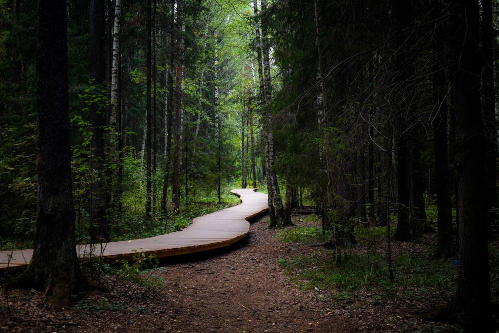 ​С драйвом и амбициями. Глава Перми Эдуард Соснин подвел итоги работы городской администрации