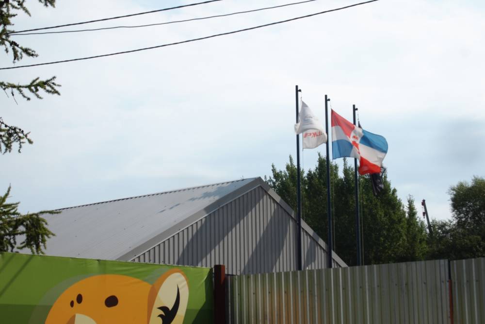 По делу о хищениях при строительстве зоопарка в Перми допросят 300 свидетелей