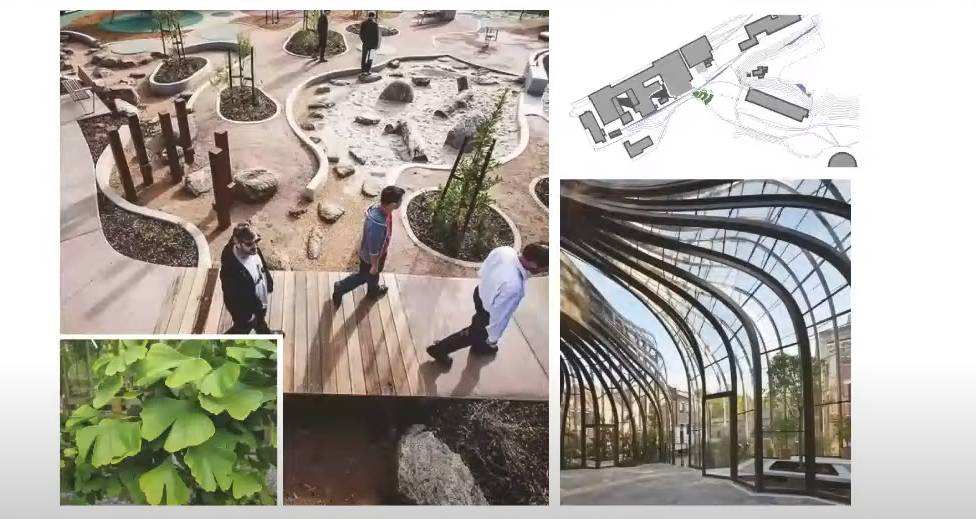 На «Заводе Шпагина» запланированы сад реликтовых растений и палеонтологическая зона
