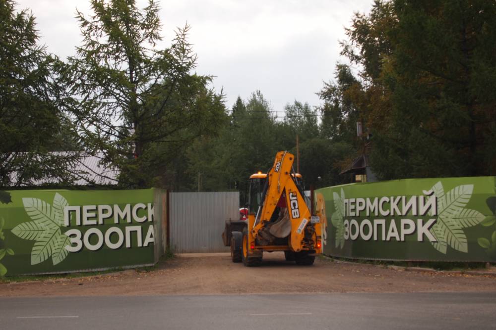 В Перми объявлен аукцион на строительство второго этапа первой очереди нового зоопарка