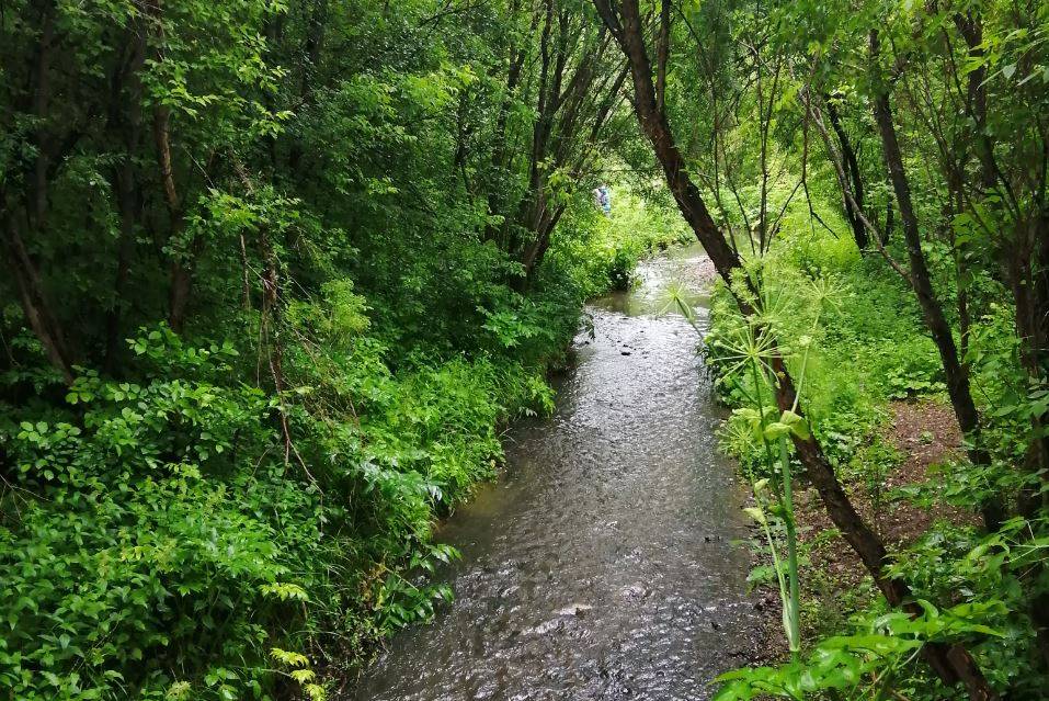 Пермяки создают экологический маршрут на берегах реки Егошихи