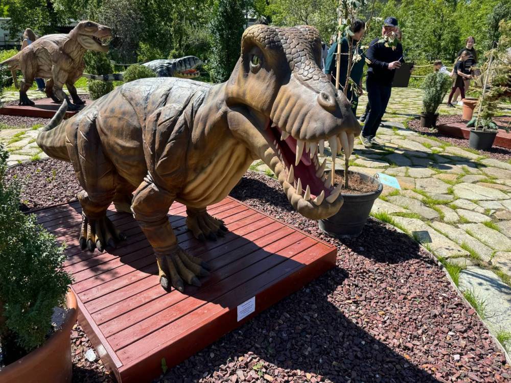 ​В Ботаническом саду ПГНИУ открылся Парк пермского периода