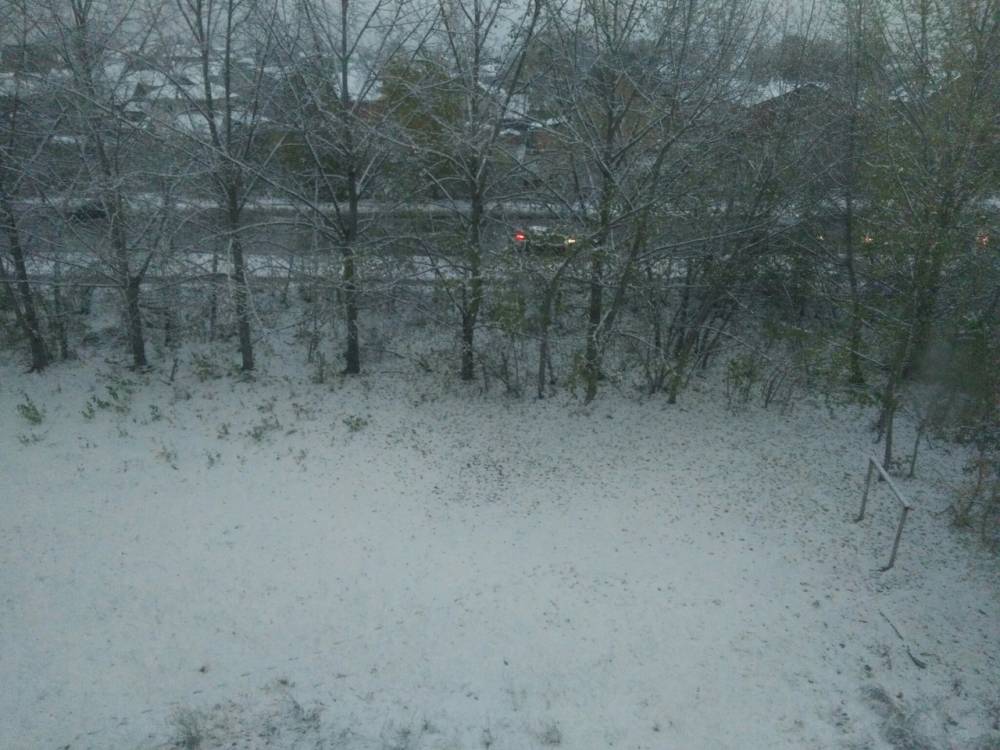 «Зима пришла»: в Перми выпал первый снег 