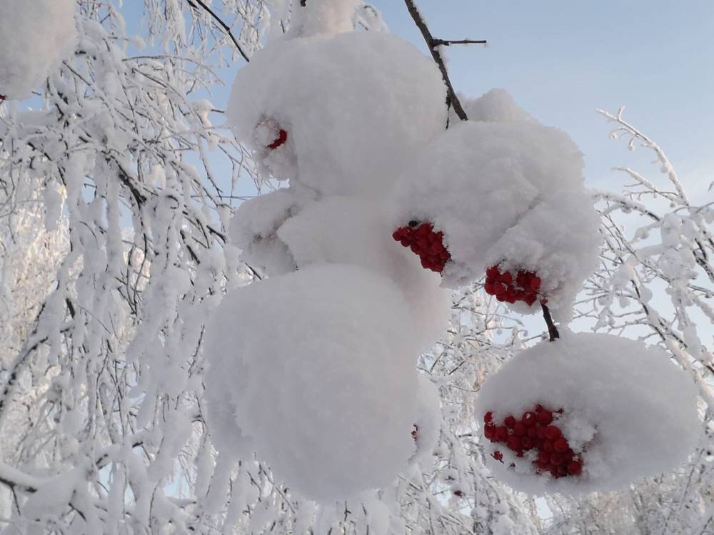 ​В МЧС предупредили о сильном снегопаде в Пермском крае