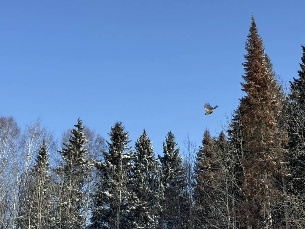 В Пермском крае завершился продолжительный период холодов 