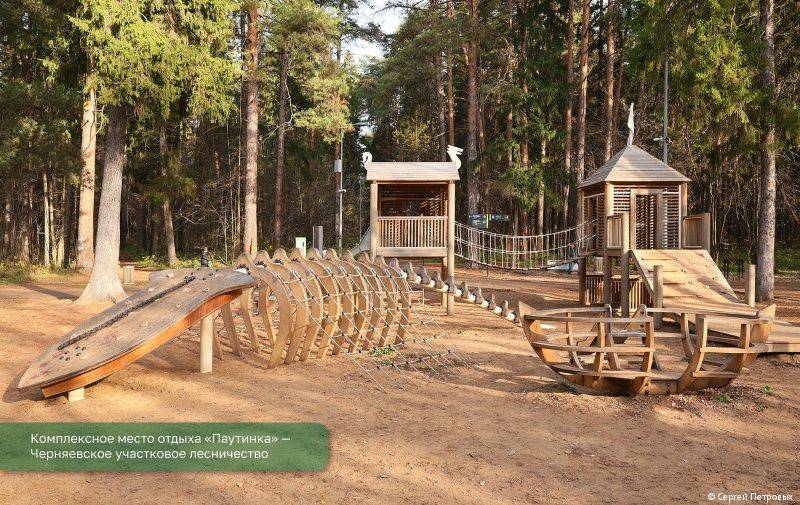 В городских лесничествах Перми отремонтировали 24 зоны отдыха и 13 экотроп