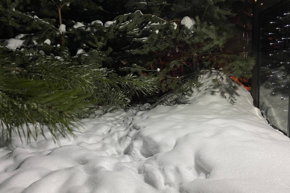 ​«Зима вновь вступит в свои права»: метеорологи рассказали о погоде в Прикамье в конце марта