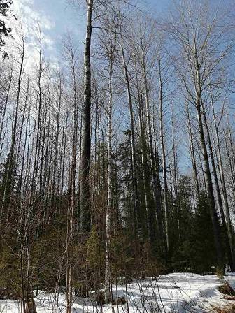 ​Системная работа как составляющая успеха