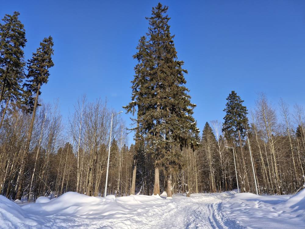 Метеорологи прогнозируют понижение температуры до –28°С в Пермском крае