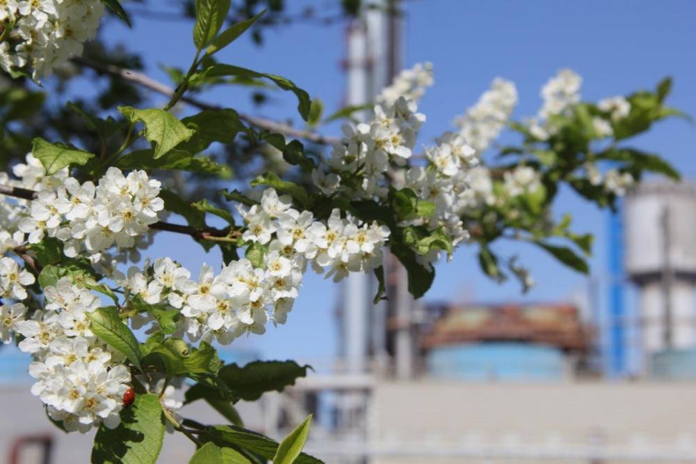 ​«Уралхим» выступил партнером экофеста в Перми