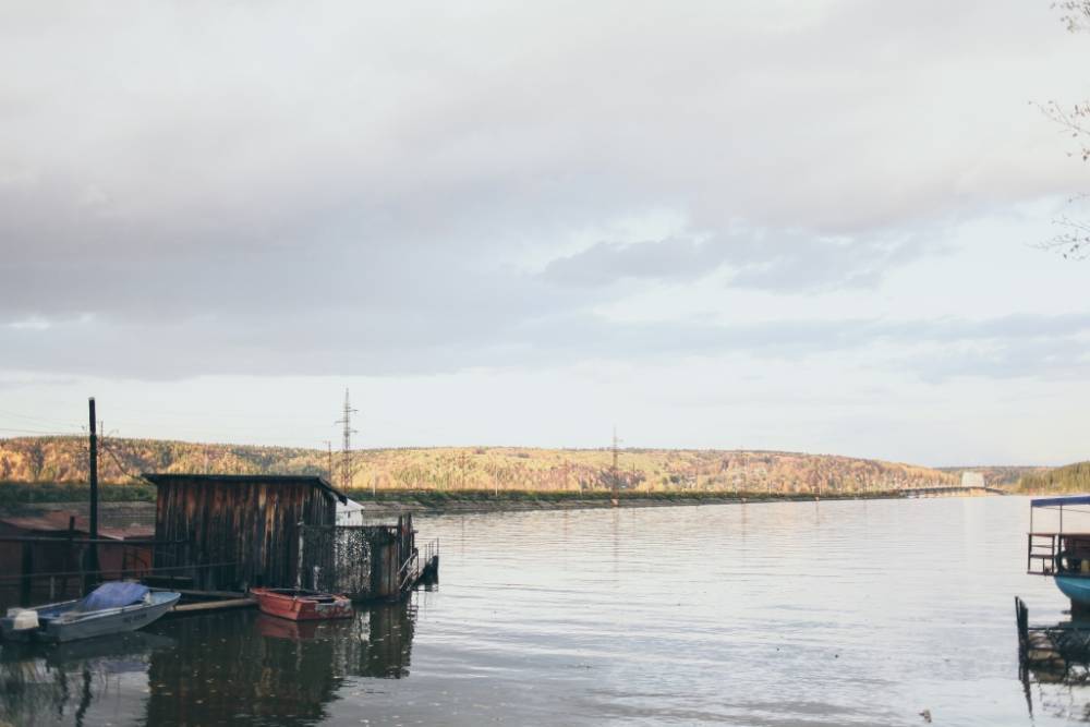 Со свиным рылом в Новый год. Что изменится в 2019-м?