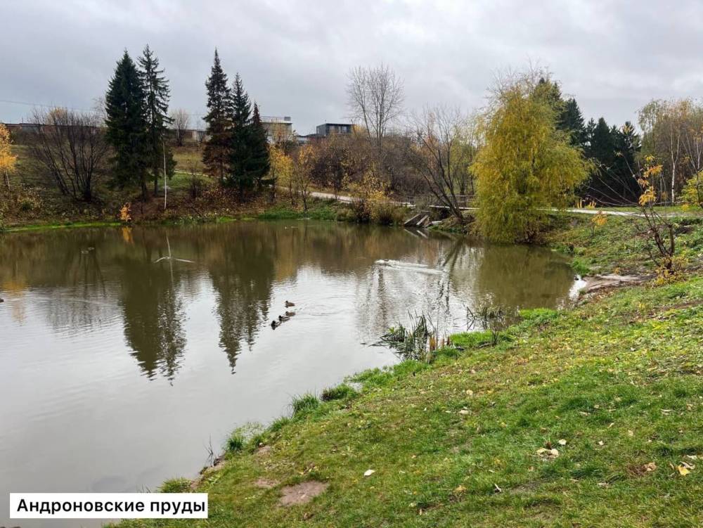 ​У Андроновских прудов в Перми благоустроят парк