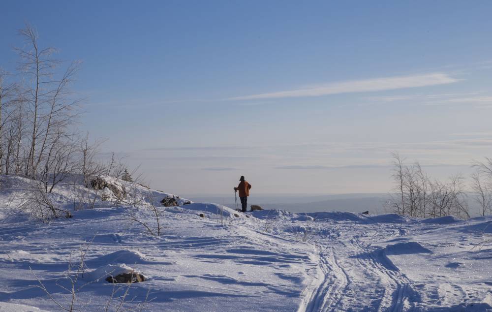 ​Частые арктические вторжения: февраль в Пермском крае будет холодным
