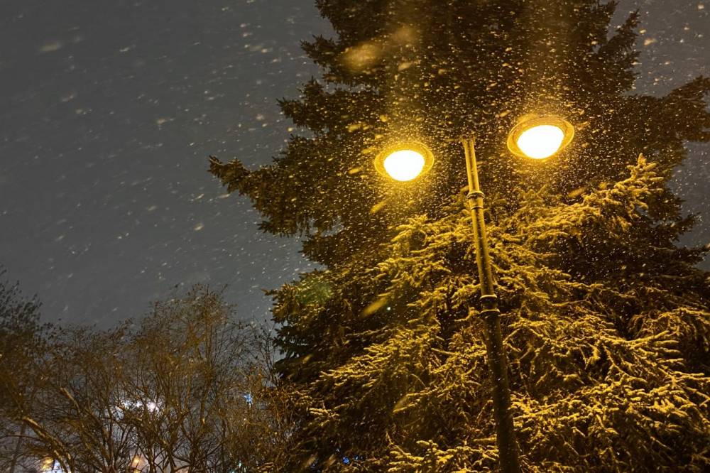 В первые дни нового года пермяки увлеклись спортом, красотой и гороскопами   