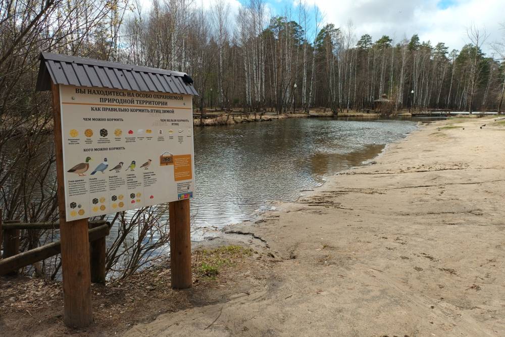 На ТОС земля держится. Активисты намерены решить вопрос с задымлением Паркового шашлычниками