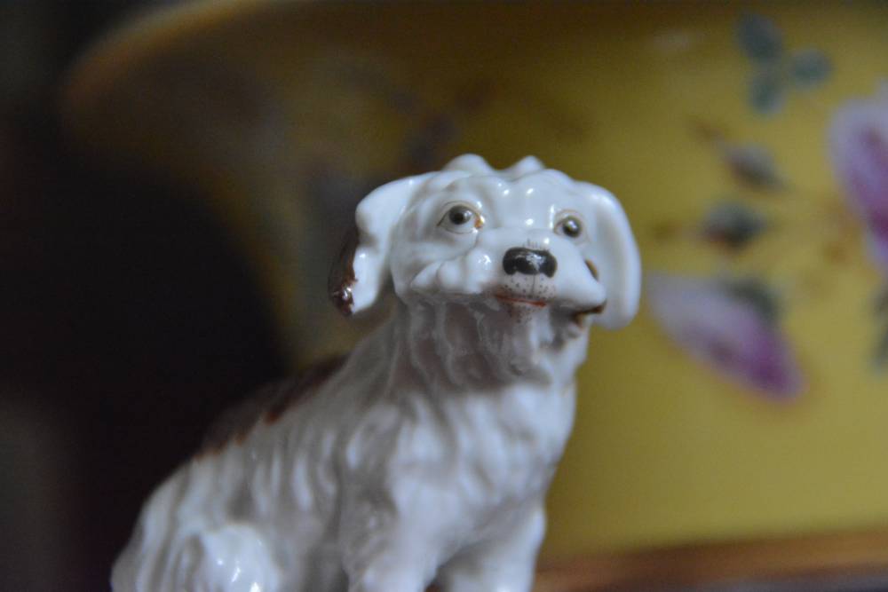 В Перми открылся крематорий для домашних животных