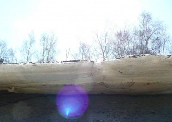 До +13 градусов: на севере Прикамья зафиксирована аномально теплая погода