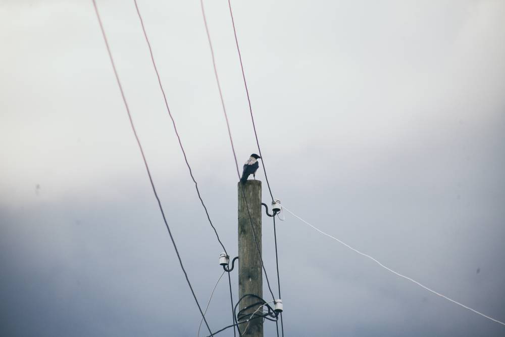 ​«ЕЭС-Гарант» вошел в состав промышленной кооперации Пермского края