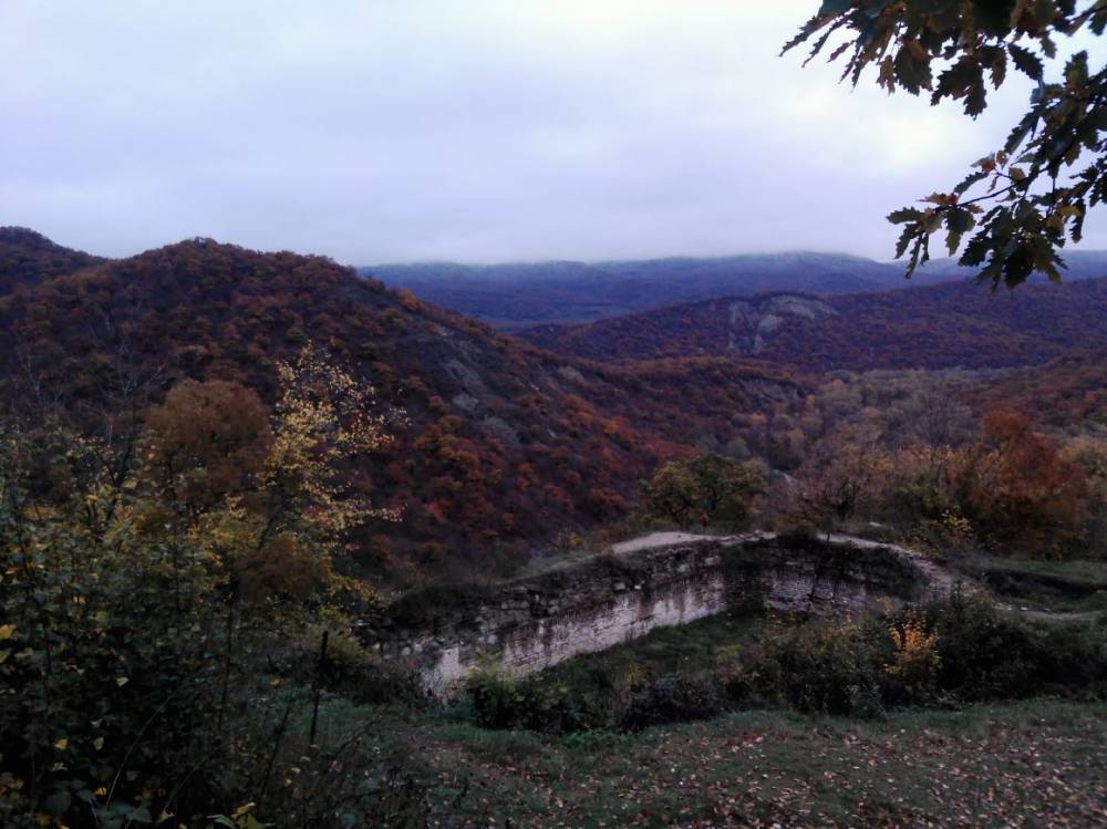 Прямиком за хачапури. В июне стартуют прямые рейсы из Перми в Батуми