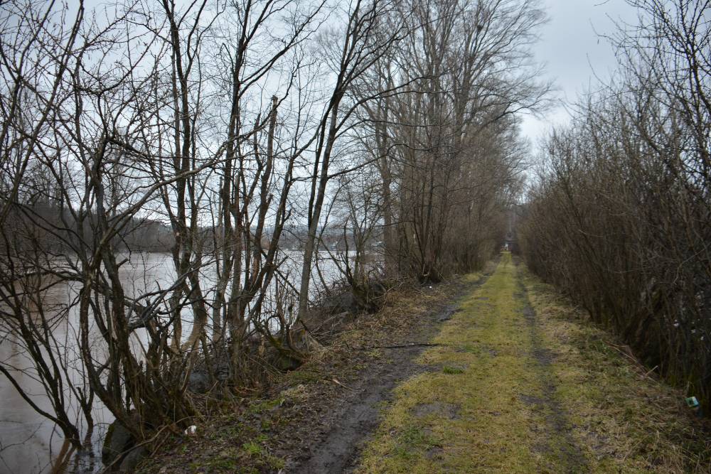 ​В Пермском крае приостановлено движение по мосту из-за подтопления