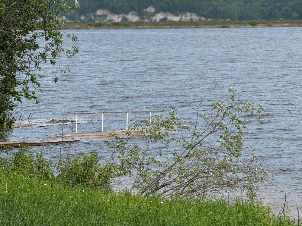 МТС и «ЛизаАлерт» запустили бесплатный сервис для поиска пропавших пермяков 