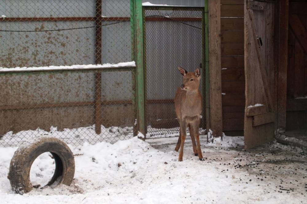 Строили-строили. Рассказываем, что произошло за 2017 год с большими проектами Перми