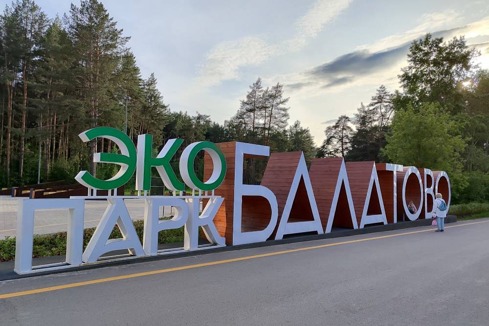 В Парке «Балатово» в Перми незаконно вырубили деревья