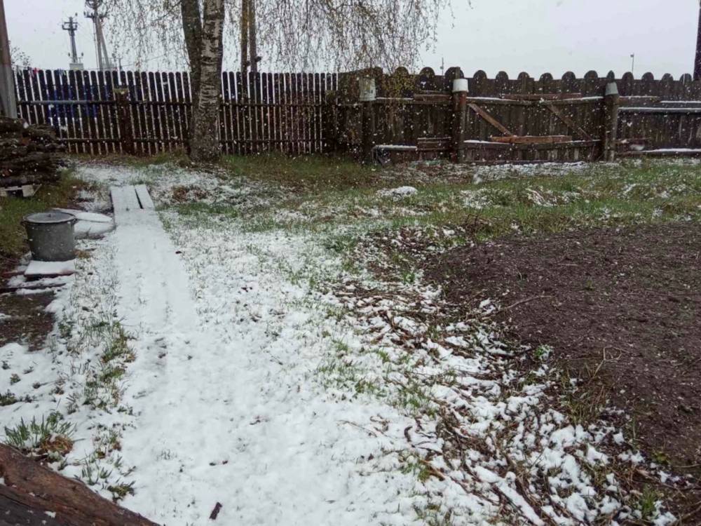На севере Пермского края выпал снег 