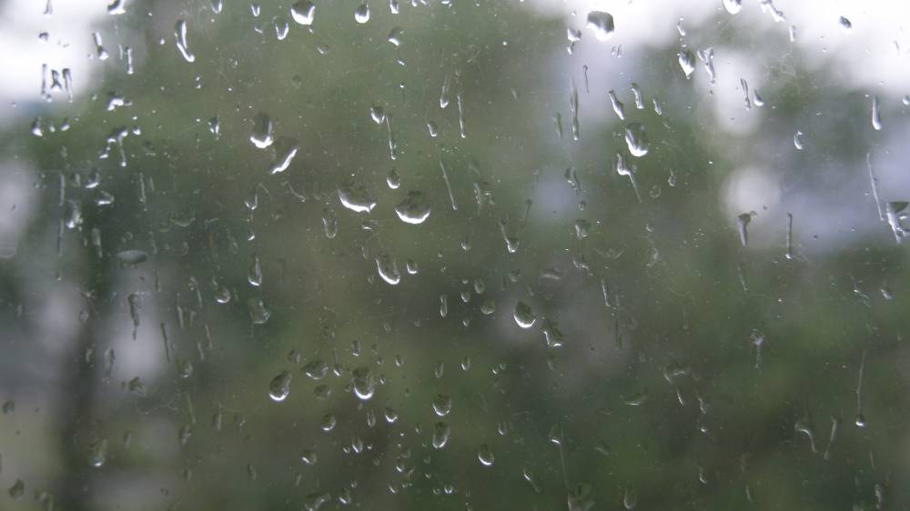Облачно и дождь: прогноз погоды на выходные в Перми