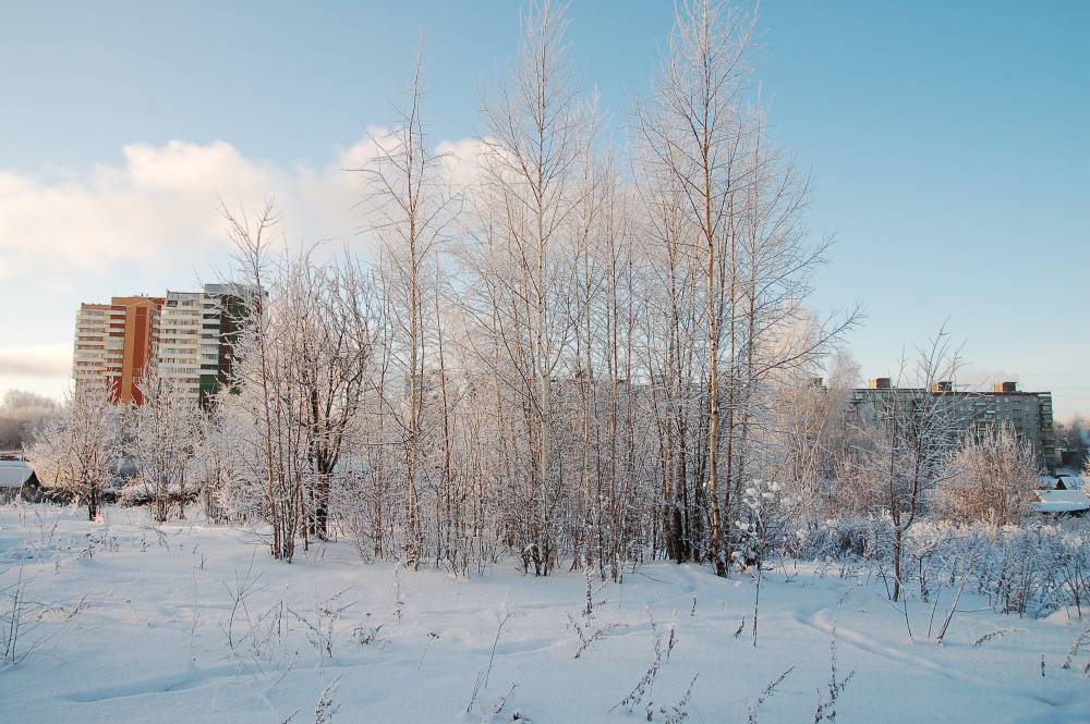 МЧС: 4 февраля в Пермском крае похолодает до -32 градусов