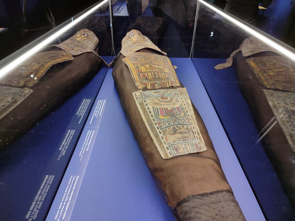 Мумии открыли крышки. Пермская галерея представила выставку, посвященную Древнему Египту (6+)