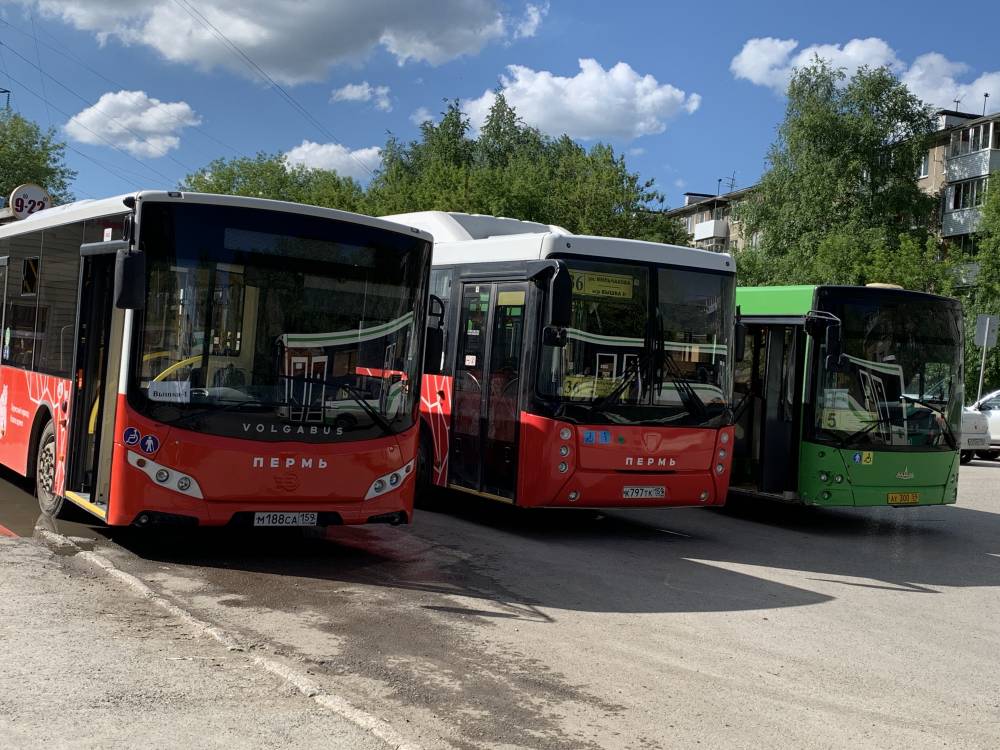 Техобслуживание автобусов Volgabus оценили в 34,7 млн рублей в год