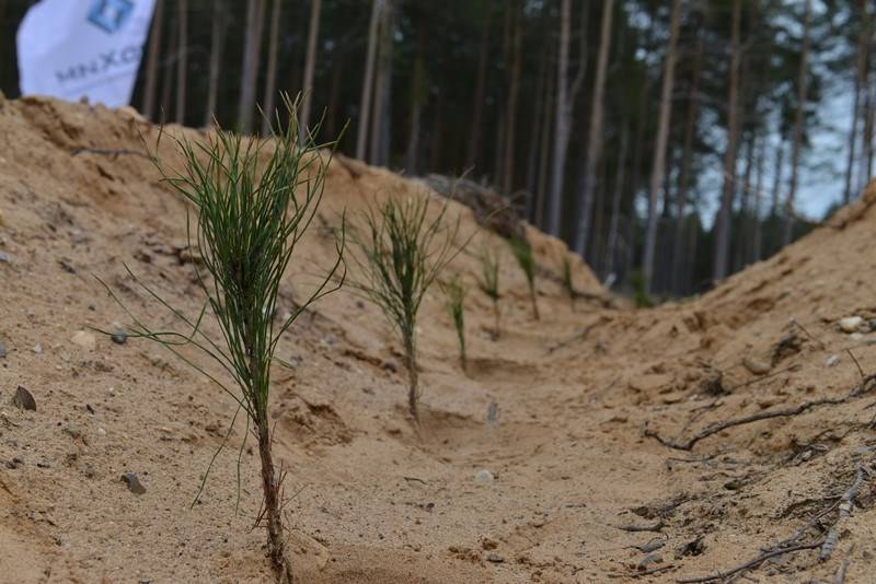 Экологический форум подготовил «Зеленый щит»