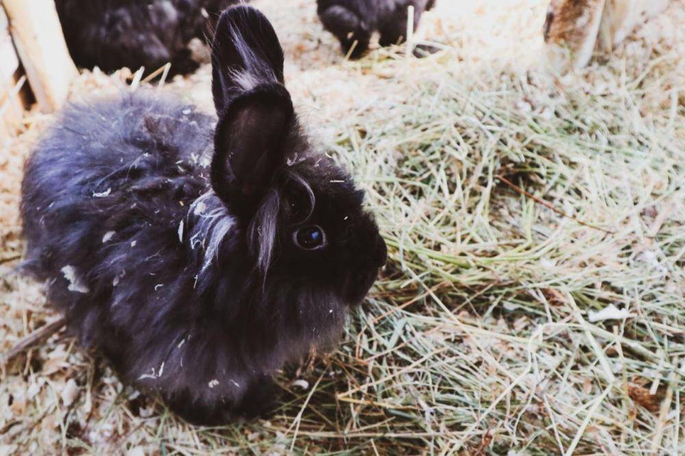 Держатся на скаку. Business Class побывал на конноспортивном комплексе в поселке Ферма